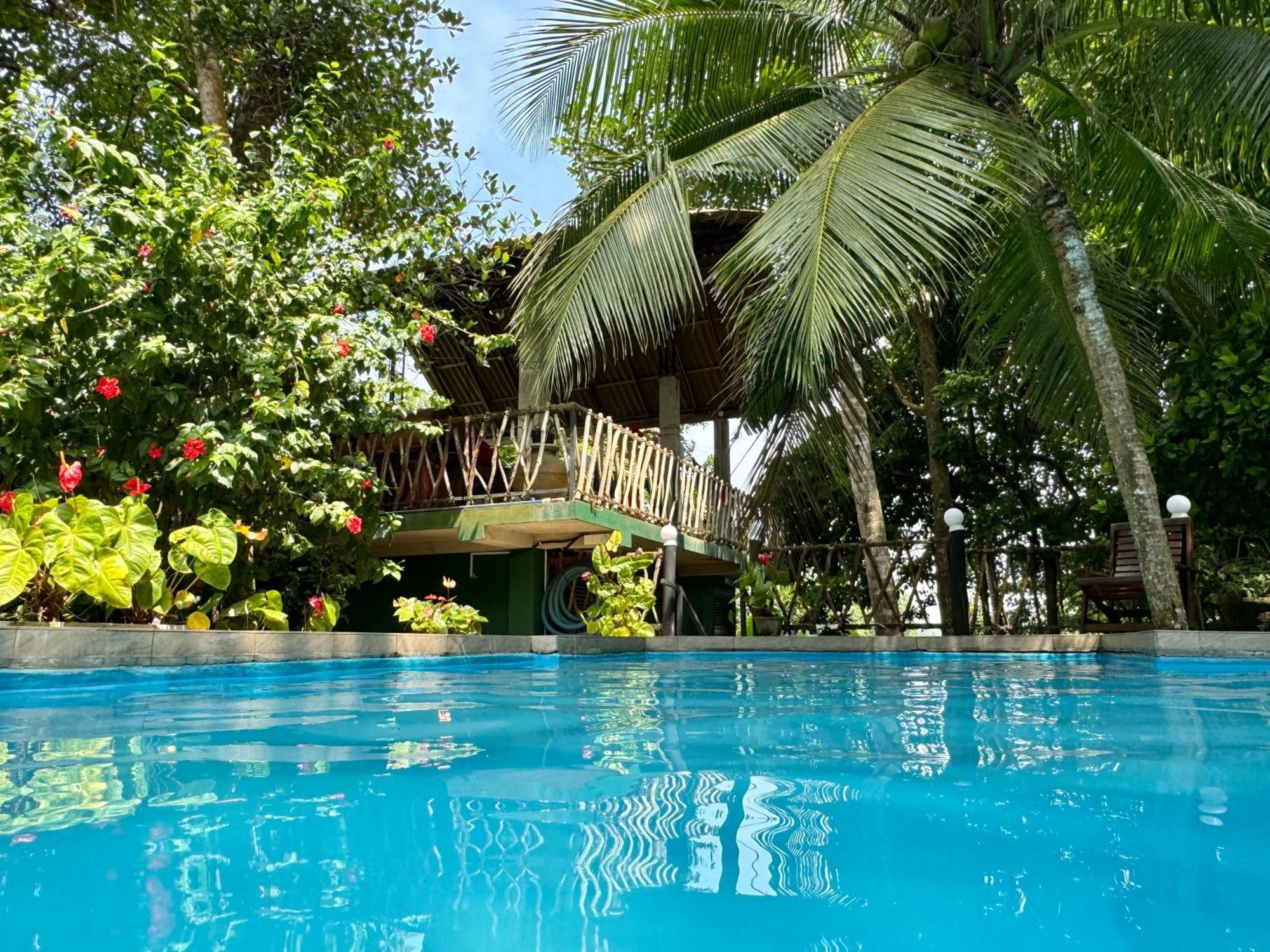 Swastha Ayurveda Villa Hikkaduwa Kültér fotó