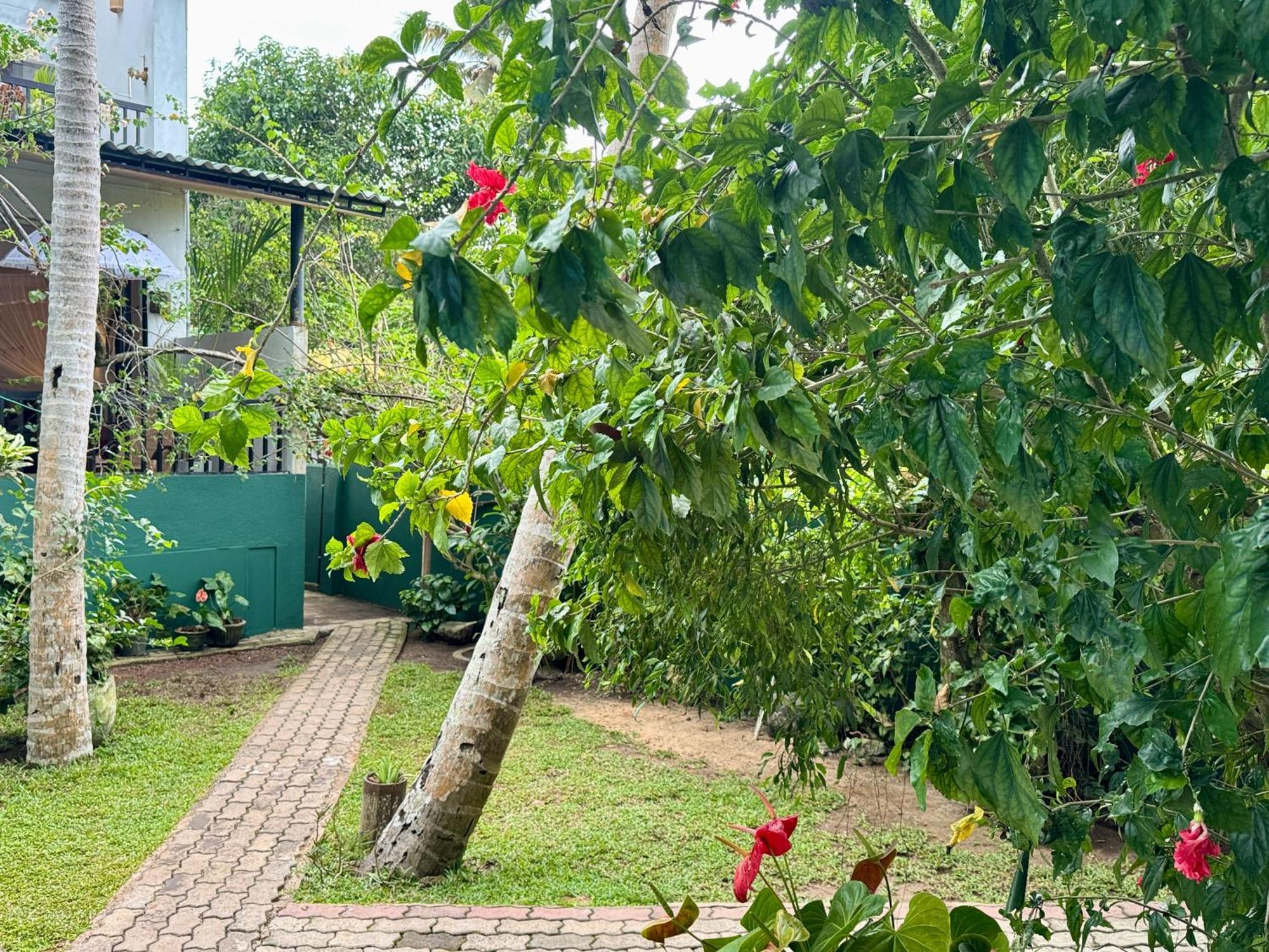 Swastha Ayurveda Villa Hikkaduwa Kültér fotó